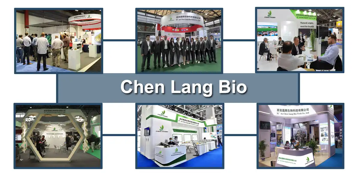 Exhibition CL.jpg Exhibition CL.jpg